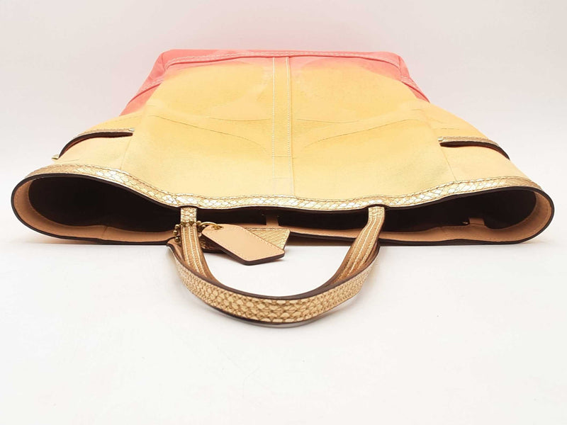 Coach Ombre Canvas Tote Bag Multi-color Aa0325wrsa