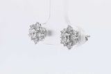 0.5cttw Diamond Stud Screwback Earrings In 14k White Gold 2 Grams Eb0826wxzsa