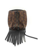 Louis Vuitton Fringed Noe Bucket Bag In Monogram Coated Canvas Fw0925szxdu