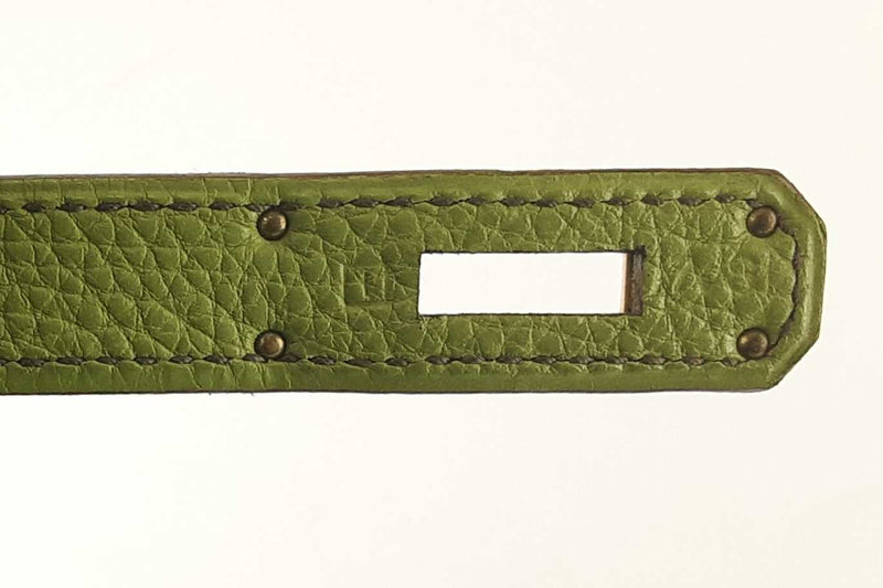 Hermes Kelly 28 Green Vert Anis Togo Gold Hardware Handbag Rpsezxde 144010014848