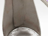 Giuseppe Zanotti Silver Metallic Heels With Crystal Embellished Straps Eb526crsa