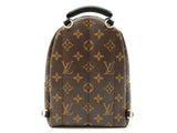 Louis Vuitton Palm Springs Mini Backpack Sd0926ezxdu