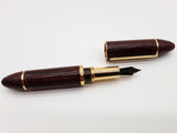 Louis Vuitton Cargo Brown Alligator Leather Fountain Pen Do0726rxzde