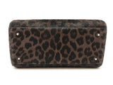 Christian Dior Lady Dior Leopard Print Pony Hair Handbag Sd0126ozxzde
