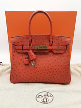 Hermes Birkin 30cm Brique Red Ostrich Palladium Hardware Handbag Do0626lrxzxde
