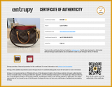 Louis Vuitton Pallas Bb Handbag Sd0726llzxdu Entrupy Certificate