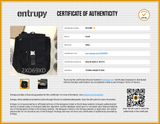 Fendi Fendiness Backpack In Black Ff Logo Jacquard Canvas & Leather Fw0626wzxdu Entrupy Certificate