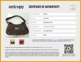 Louis Vuitton Thames Pm Damier Ebene Handbag Sd0726pzxde Entrupy Certificate
