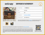 Louis Vuitton Reverse Monogram Dauphine Shoulder Bag Eb0526lesrde Entrupy Certificate