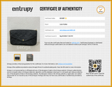 Louis Vuitton Monogram Empreinte Felicie Pochette Eb0926pxzsa Entrupy Certificate