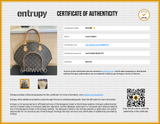 Louis Vuitton Ellipse Monogram Canvas Handbag Sd0726cordu Entrupy Certificate