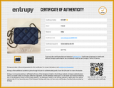 Chanel Denim Camera Case Crossbody Bag Eb1125owrxde Entrupy Certificate