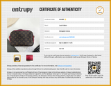 Louis Vuitton Monogram Canvas Saintonge Bag Sd0526rcrdu Entrupy Certificate