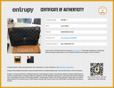 Louis Vuitton Vavin Pm Bag In Damier Ebene Coated Canvas & Black Leather Fw0726czxdu Entrupy Certificate