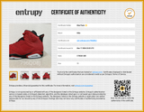 Nike Air Jordan 6 Retro 'Toro Bravo' Sneakers Size 11 Ct8529-600 Eb0626lxzsa Entrupy Certificate