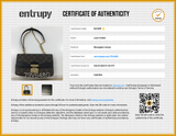 Louis Vuitton Marceau Monogram Coated Canvas Shoulder Bag Fw0926lxzxdu Entrupy Certificate