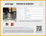 Christian Louboutin Cabata Animal Print Canvas Tote Bag Eb1225cxzde Entrupy Certificate