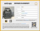Christian Dior Hit The Road Gray Diamond Logo Sling Bag Do0425lwxzsa Entrupy Certificate