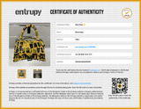Balenciaga Small Hourglass Tape Yellow Handbag Aa0126ezxsa Entrupy Certificate