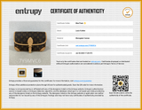 Louis Vuitton Monogram Diane Shoulder Bag Eb0826exzsa Entrupy Certificate