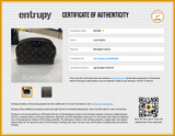 Louis Vuitton Be Alma Chain Shoulder Bag In Monogram Coated Canvas Fw0526czxdu Entrupy Certificate