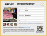 Balenciaga Speed Sock Sneakers In Pink Technical Knit Size 7 Women's Fw0826ctdu Entrupy Certificate