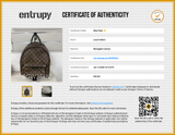 Louis Vuitton Palm Springs Mm Brown Backpack Aa0126ezxsa Entrupy Certificate