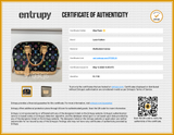 Louis Vuitton Murakami Monogram Multicolore Alma Top Handle Bag Eb0526icrsa Entrupy Certificate