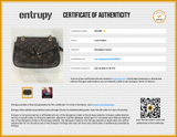 Louis Vuitton Monogram Passy Chain Shoulder Bag Eb0926loxzde Entrupy Certificate