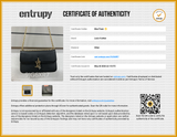Louis Vuitton Lv Bloom Black Leather Wallet On Chain Eb0826cxzsa Entrupy Certificate
