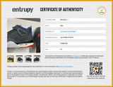 Nike Air Jordan 4 Retro 'Rare Air' Sneakers Size 9.5 Fv5029-003 Eb0726lxzsa Entrupy Certificate