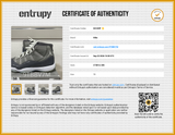 Air Jordan 11 Retro Ct8012 005 Gray Shoes Size 11 Aa0926lrzsa Entrupy Certificate