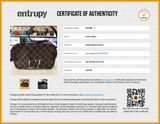 Louis Vuitton Santa Monica 2way Bag In Damier Ebene Coated Canvas Fw0226erxdu Entrupy Certificate