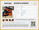 Nike Air Jordan 1 Retro High Shattered Backboard 3.0 Sneakers Size 11 Sd0126izdu Entrupy Certificate