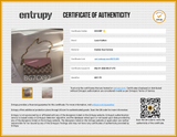 Louis Vuitton Pochette Félicie In Damier Azur Canvas & Rose Leather Fw0626rrzdu Entrupy Certificate