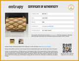 Louis Vuitton Go-14 Pm Brown Crossbody Bag Aa0126ozxzsa Entrupy Certificate