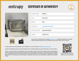 Yves Saint Laurent Metallic Silver Leather Camera Crossbody Bag Eb0826psxde Entrupy Certificate