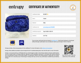 Chanel Blue Nylon Coco Neige Convertible Backpack Eb1125lrxzde Entrupy Certificate