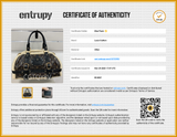 Louis Vuitton Shearling Storm Bag (2007) Sd0426rrzdu Entrupy Certificate