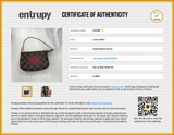 Louis Vuitton Complice Trunks And Bags Mini Pochette In Damier Ebene Sd0226rzxdu Entrupy Certificate