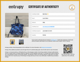 Louis Vuitton Monogram Ikat Noeful Floral Blue Nylon Eb0726pxzsa Entrupy Certificate
