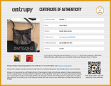 Louis Vuitton Bloomsbury Pm Shoulder Bag In Damier Ebene Coated Canvas Fw0626szxdu Entrupy Certificate