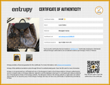 Louis Vuitton Montsouris Pm Backpack In Monogram Coated Canvas & Black Leather Fw0726lxzxdu Entrupy Certificate