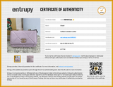 Chanel 19 Pink Quilted Leather Wallet On Chain Crossbody Bag Do0526opcxde Entrupy Certificate