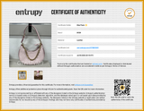 Mcm Aren Crescent Pink Leather Hobo Shoulder Bag Eb0826pxzsa Entrupy Certificate