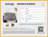 Louis Vuitton Demi Lune Handbag In Lilac Epi Leather Fw0626oozdu Entrupy Certificate