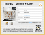 Louis Vuitton Damier Azur Iena Mm Handbag Sd0626izxdu Entrupy Certificate