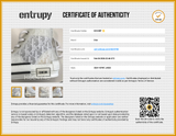 Christian Dior B23 High Top White & Transparent Oblique Sneakers Size 7.5 Fw0526lrzdu Entrupy Certificate