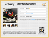 Dior B22 Multi-color Shoes Size 41 Aa0326lrzsa Entrupy Certificate