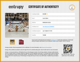 Louis Vuitton Multicolor Eliza Takashi Murakami Shoulder Bag Sd0626lwzxdu Entrupy Certificate